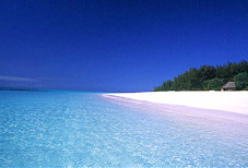 Zanzibar Tropical Beaches