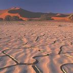Sossusvlei