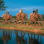 Elephant Back Safaris