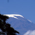 Kilimanjaro