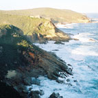 Plettenberg Bay Shoreline