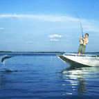 Tigerfishing