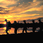 Walking Safaris