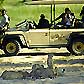 Ulusaba Game Drives