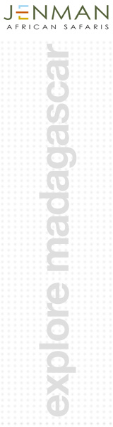 find madagascar packages