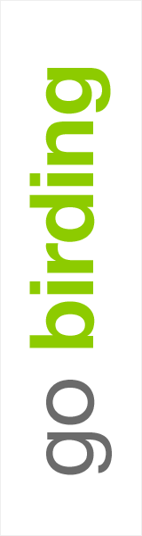 birding safari africa | african birdwatching holidays