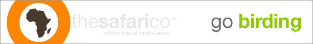 african bird watching | birding safaris in namibia