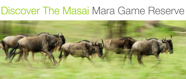 masai mara travel guide