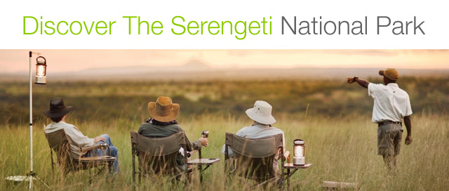 serengeti travel guide