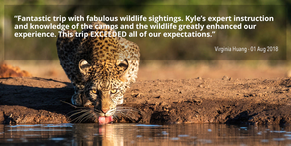 Oryx Photographic Safaris