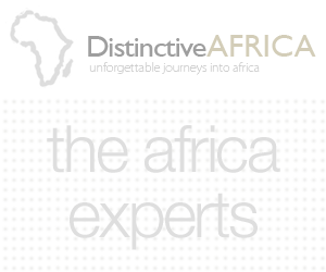 Explore Africa with The Safari Co. Africa Travel Guide