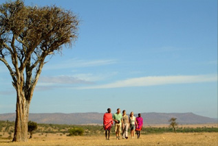 Walking Safari - Gamewatchers Safaris