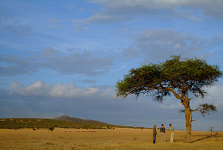 Walking Safari - Gamewatchers Safaris
