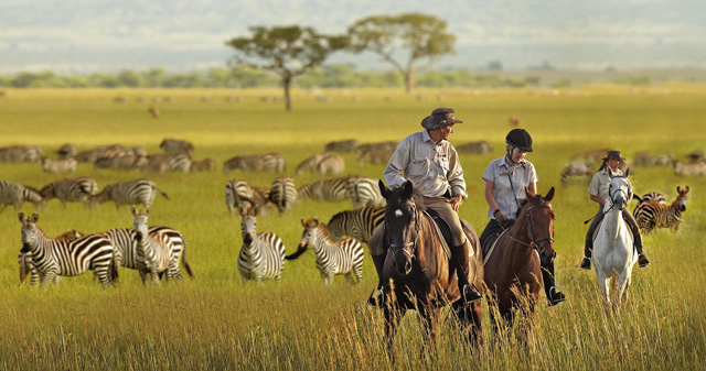 horse riding holidays in africa