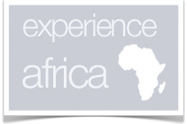 Africa's Wildlife