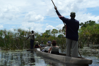 Jenman Safaris