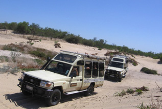 Jenman Safaris