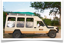 Travel Expert Botswana Safaris
