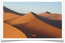 Travel Expert Safaris