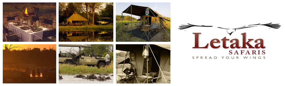 Letaka Safaris