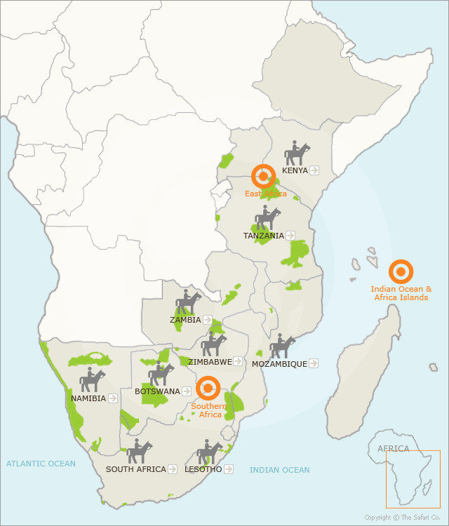 Horseback Safaris in Africa