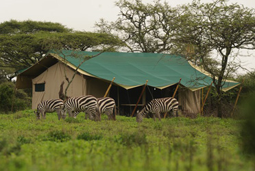 Nasikia Mobile Camps