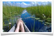 Jenman Safaris - Madagascar Holiday