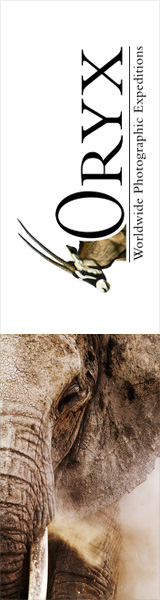 photographic safari africa