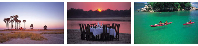 African Safari Experiences