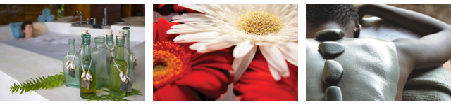 spa treatments in africa