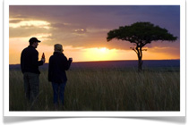 Gamewatchers Safaris