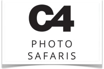 Photographic Safaris in Africa by C4 Photo Safaris