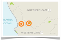 Cederberg and West Coast