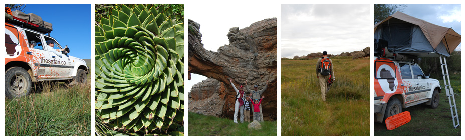 The Safari Co. Expeditions