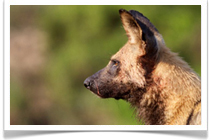 Namibia, The Ancient Desert - by Untamed Odyssey