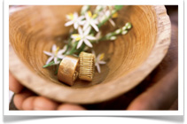 Safari Weddings in South Africa