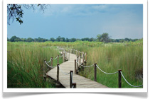 bazaruto islands, mozambique