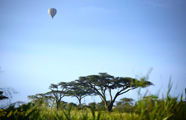 Worldwide Safaris Tanzania - African Holidays