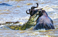Worldwide Safaris Tanzania - African Holidays