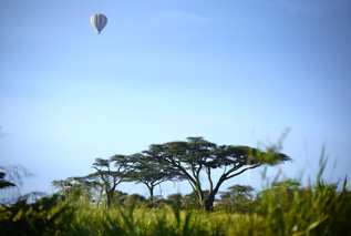 Worldwide Safaris Tanzania