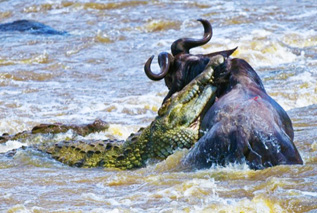 Worldwide Safaris Tanzania